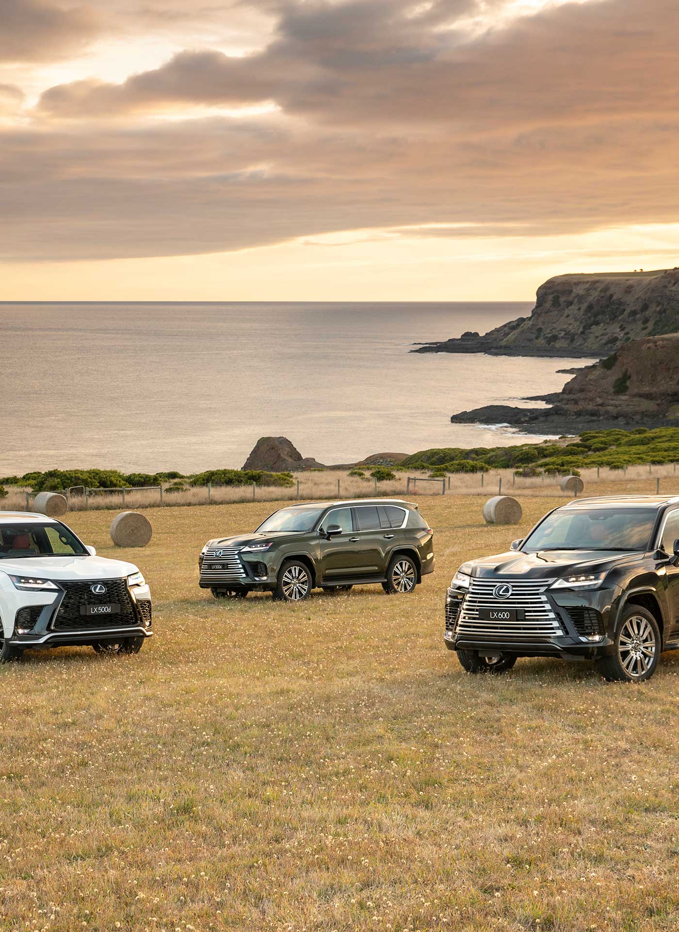 Three Lexus LX variants are parked on a dry hill, cliffs and the ocean can be seen in the background.